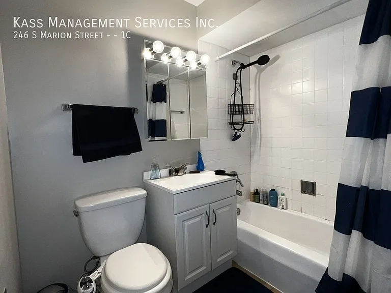246 S Marion St #1C — Photo 7