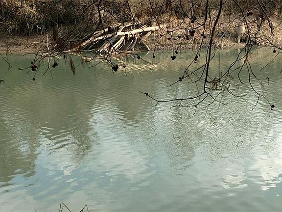 2nd image of 2565 Riverwood Rd