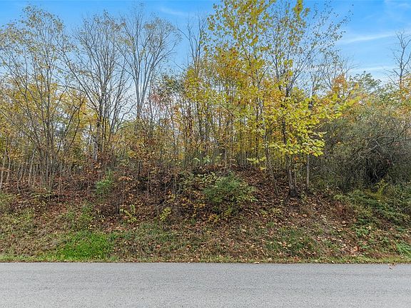 3rd image of 0 White Church Rd