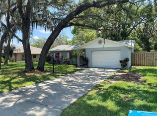 6264 Radford St, Spring Hill, FL 34606