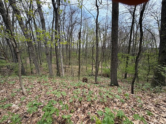 4th image of 5241 Moscow Rd