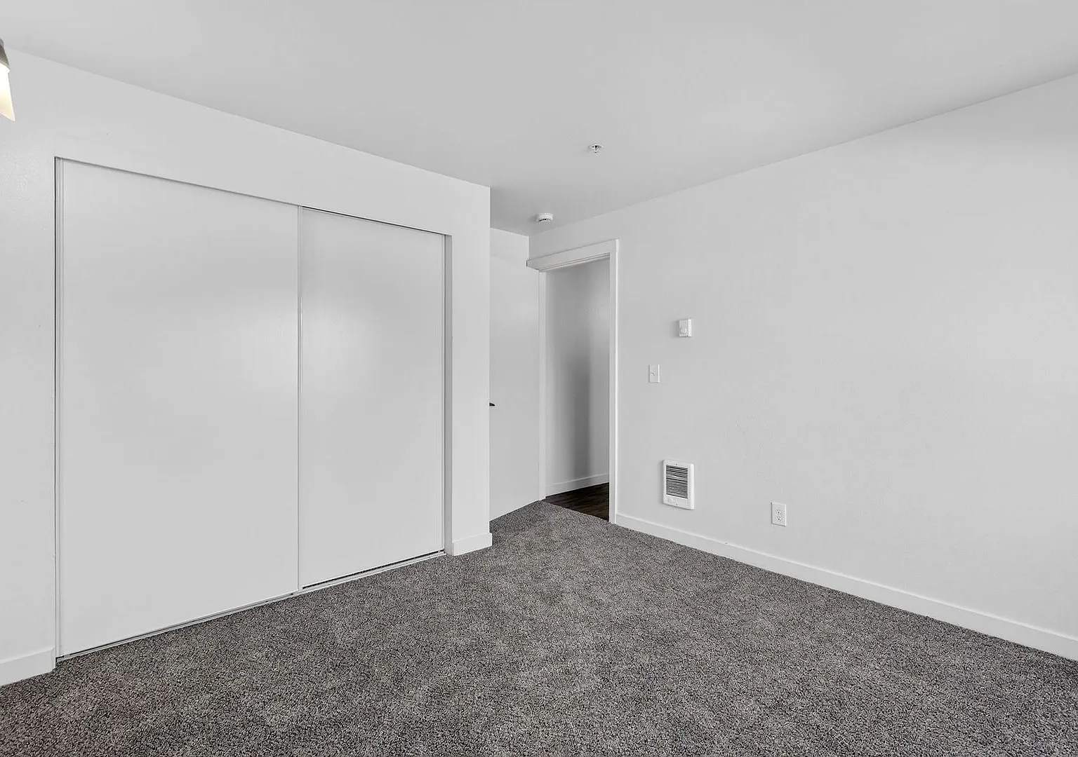 Irish Moss Apartments — Photo 4