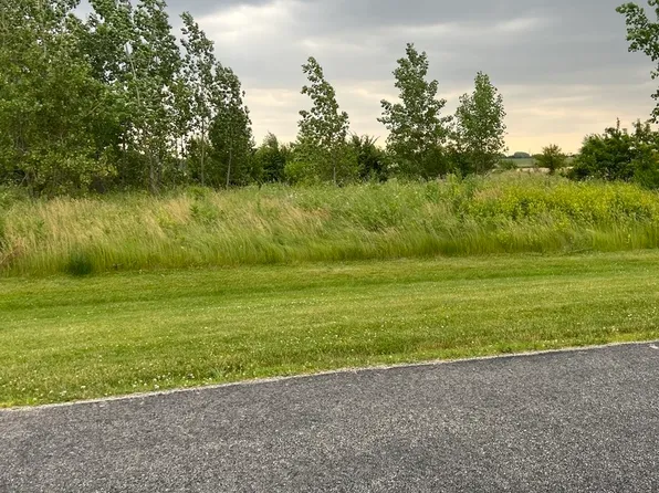 26622 S Wildgrass Turn Lot 46, Monee, IL 60449