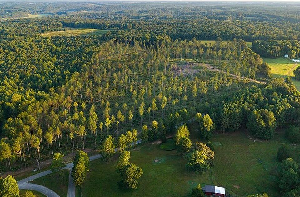 Dji 20260914071251 0267 D