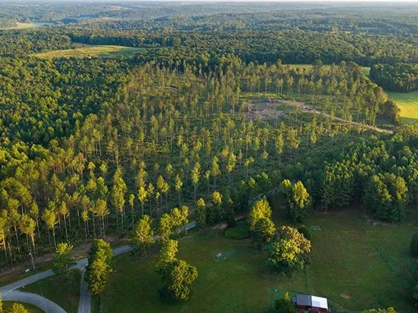 Gilchrist Rd, Cypress Inn, TN 38452