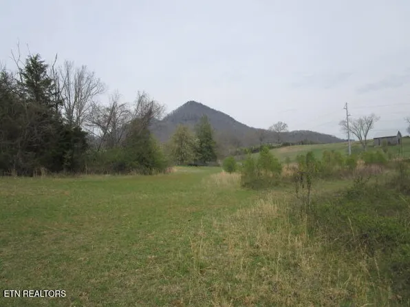 Washington Pike, Luttrell, TN 37779