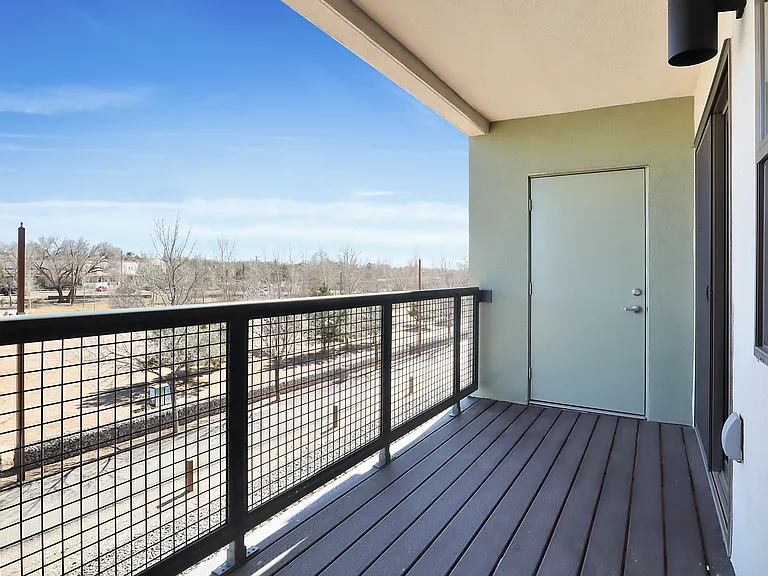 315 picture taken in March/Late Winter. 313 has same fantastic views of 10-acre Railyard Park and 16+mile long Rail-trail! Storage closet is on opposite side.