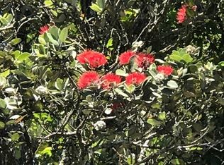 Kokokahi Rd LOT 74, Volcano, HI 96785