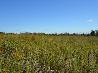 24421 S Arranmore Way, Frankfort, IL 60423