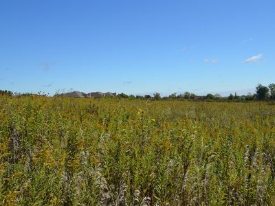 24421 S Arranmore Way, Frankfort, IL, 60423