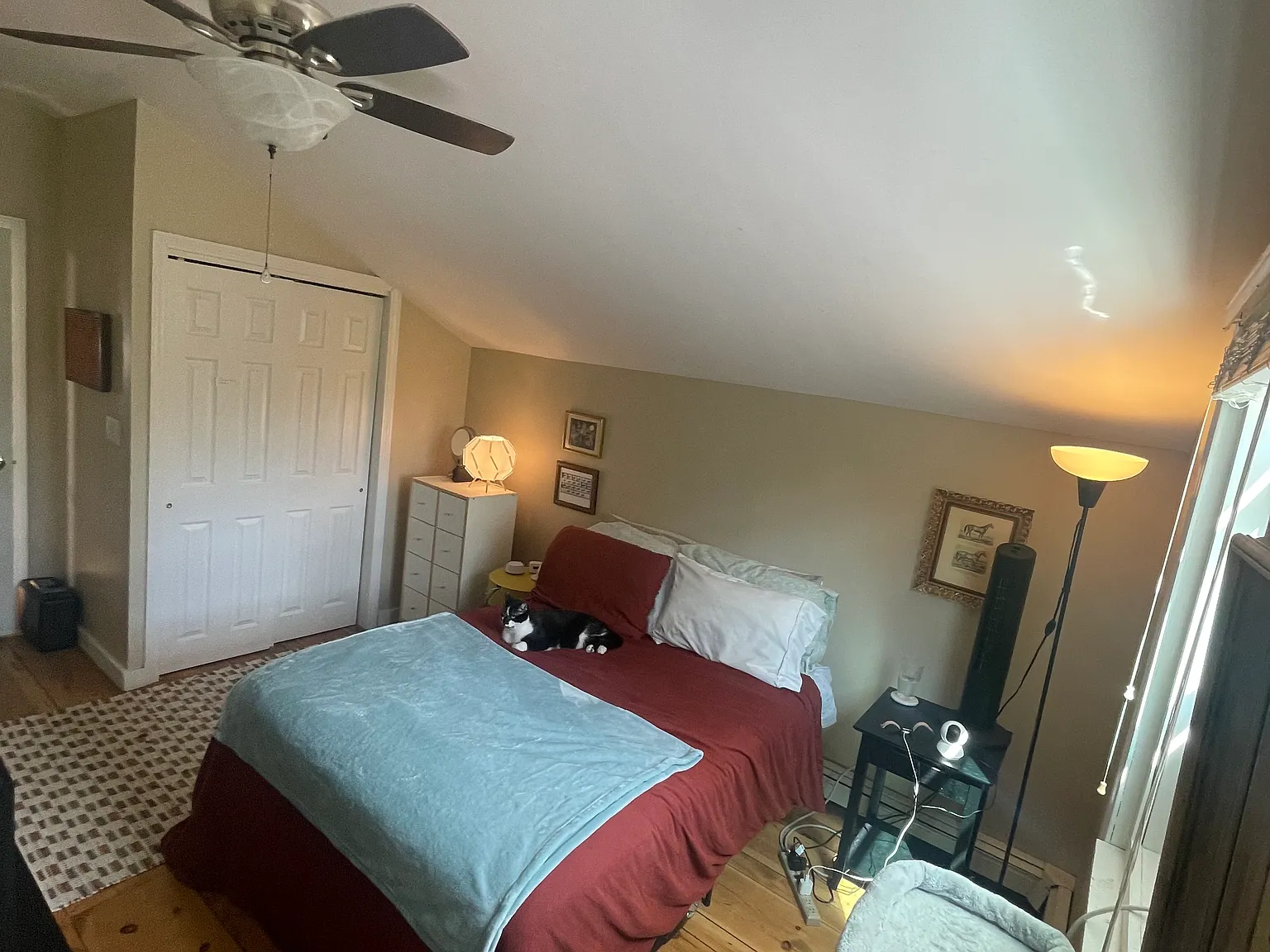 1 bed, 660 sqft, $1,800 — Photo 4