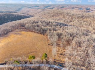 1622 Dummitt Ridge Rd, Garrison, KY 41141