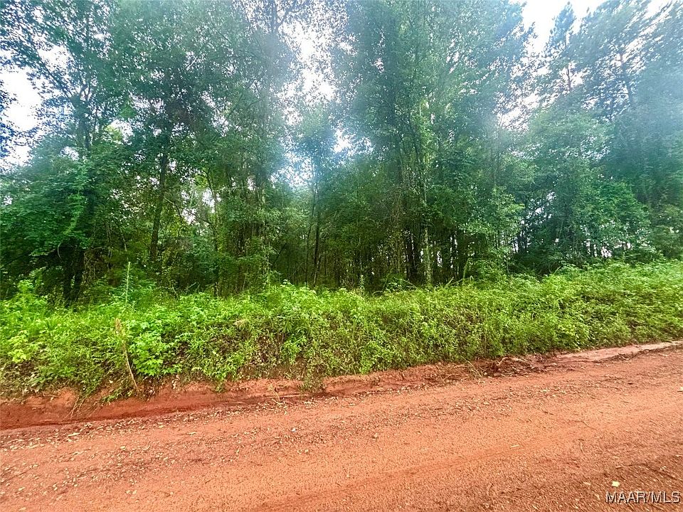 2nd image of 101 Tyson Ln