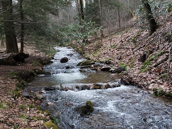 5th image of 39 Bear Creek Dr