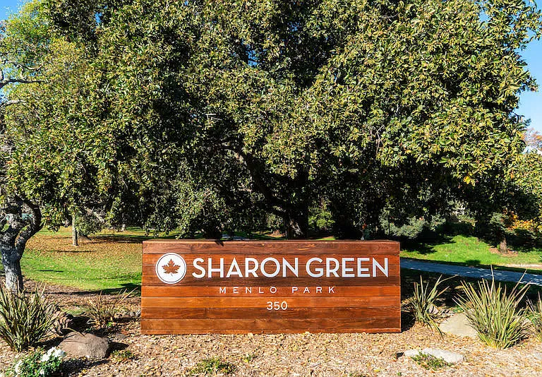 Sharon Green — Photo 9