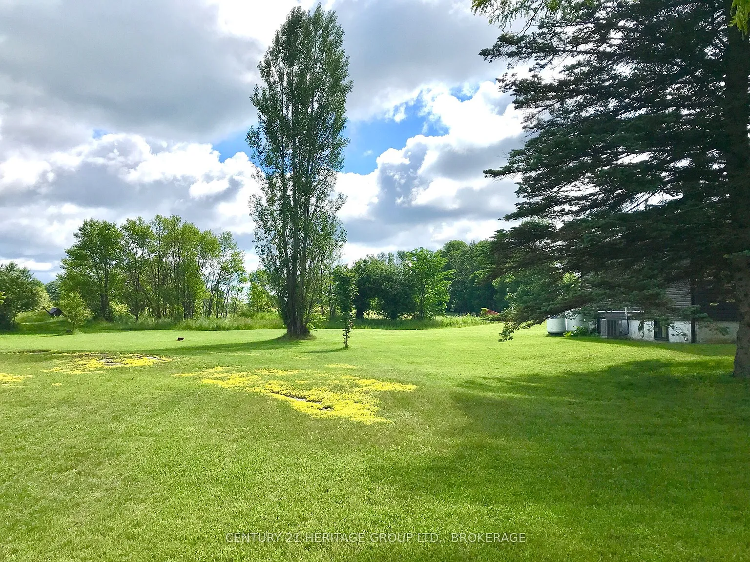 3 bed, $2,150 — Photo 4
