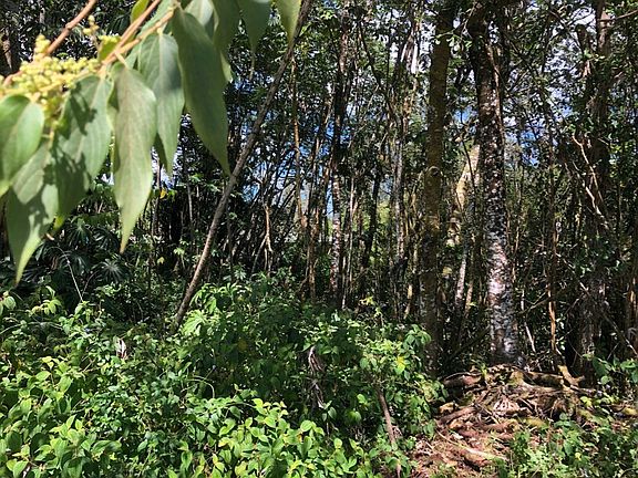 5th image of Uilani Dr Lot 4