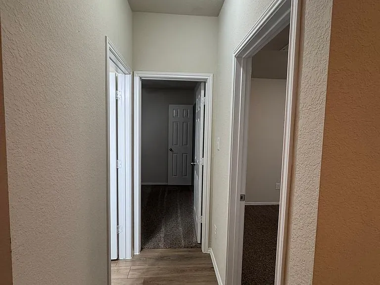 1812 Bee Creek Loop — Photo 28