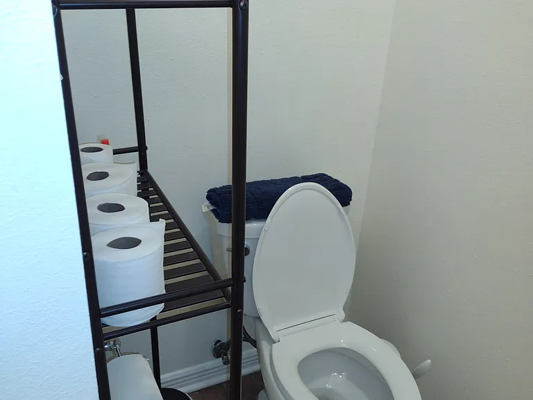 Master Bathroom 5