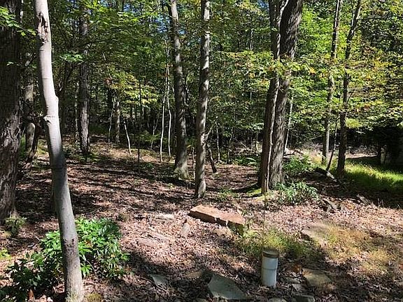 3rd image of 183 Chestnut Ridge Rd