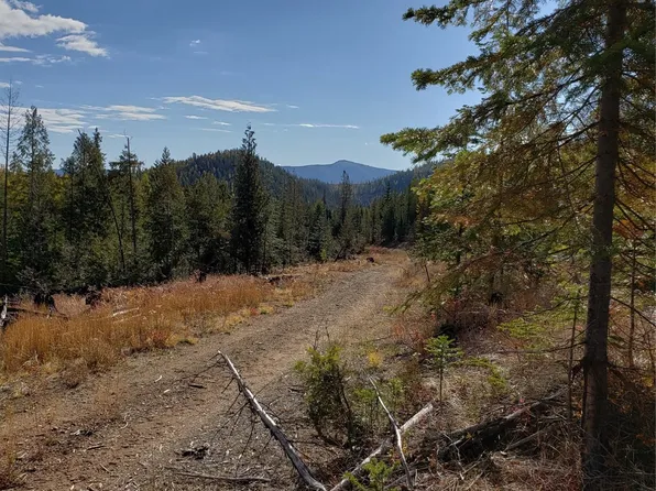 114A Packer Creek Rd, Haugan, MT 59842