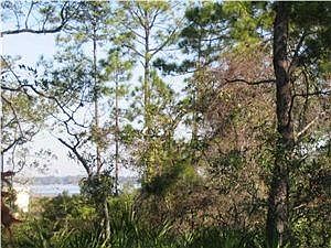 2nd image of 3676 Preserve Blvd