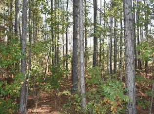 LOT 4 Mount Olivet Church Rd, Fleming, GA 31309
