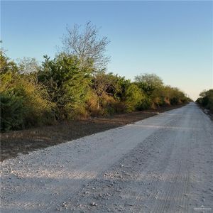 0 County Road 313, Encino, TX, 78353