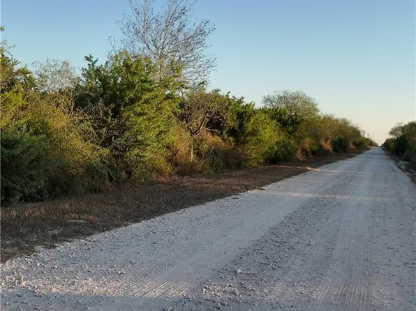 0 County Road 313, Encino, TX 78353