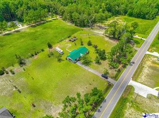 304 Pocosin Rd, Latta, SC 29565