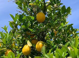 133 Winchester Dr, Santa Rosa, CA 95401