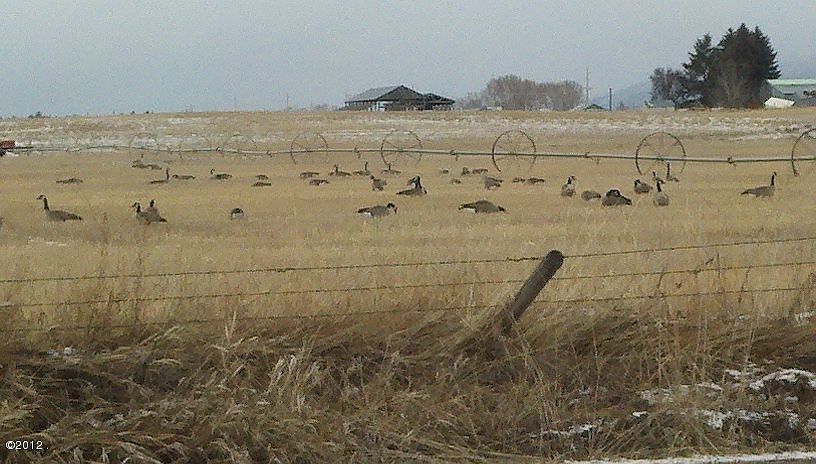 1st image of Nhn Highway 93