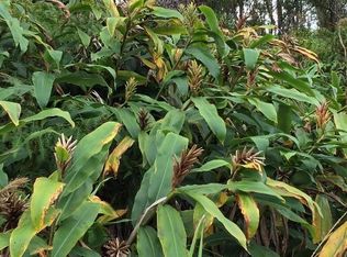 Kaleponi Rd LOT 8, Volcano, HI 96785