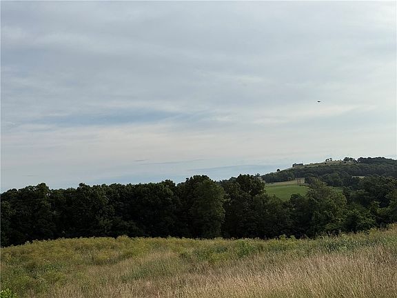 2nd image of Madison #7610