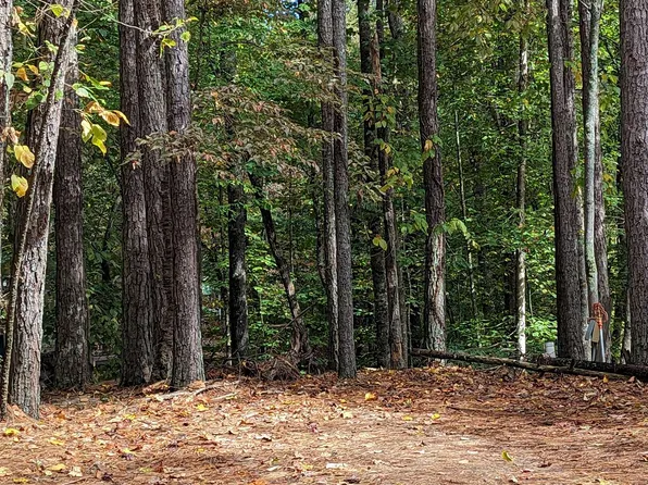 LOT 481 23rd St, Ellijay, GA 30540