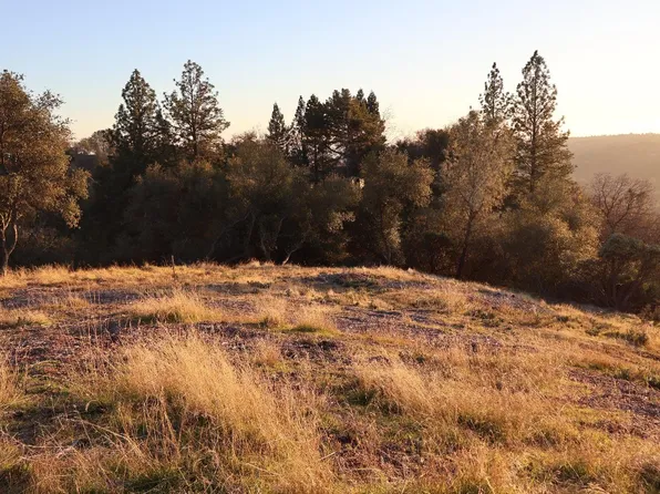4480 Sunnyside Dr, Shingle Springs, CA 95682