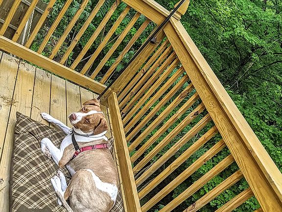 Deck is 3 years old.