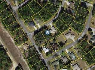 9996 N Sandree Dr, Citrus Springs, FL 34434