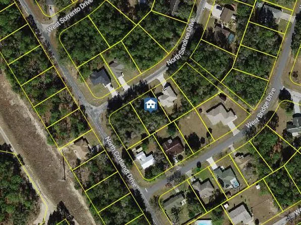 9996 N Sandree Dr, Citrus Springs, FL 34434