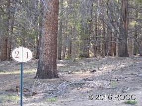 3rd image of 1 Elk Trl