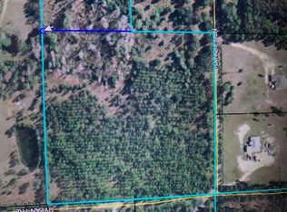 0 Natalies Ln, Ormond Beach, FL 32174