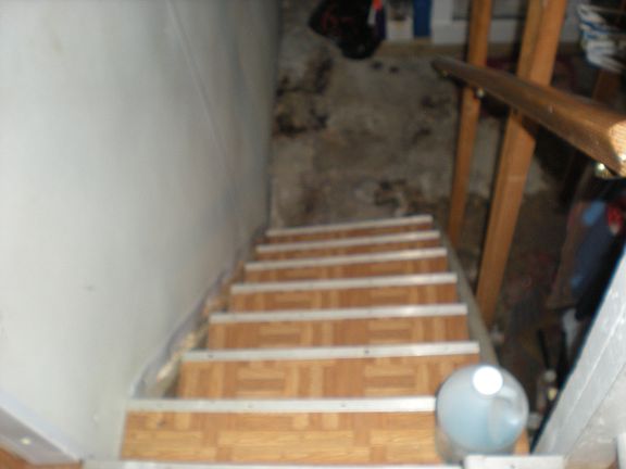 Full Walk out basement