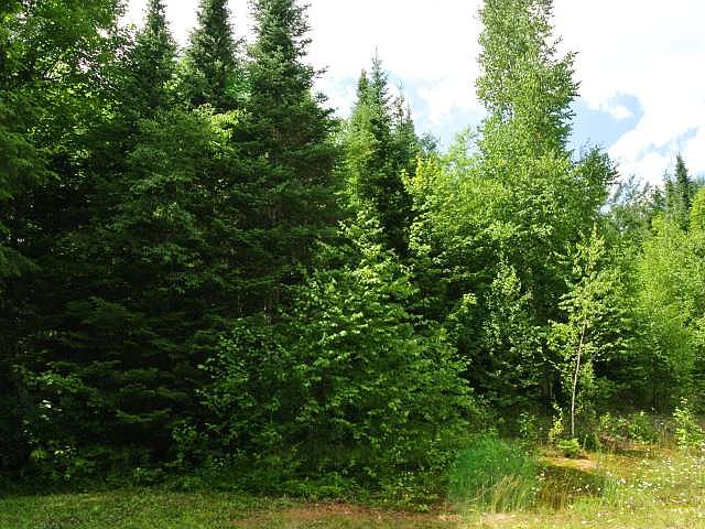 1st image of PARCEL G Amber Lake Rd W #W