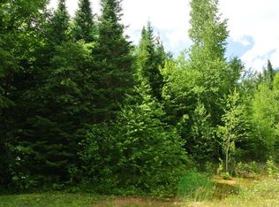 PARCEL G Amber Lake Rd W #W, Minocqua, WI 54548