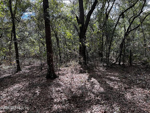 4th image of 141 Woodland Lane