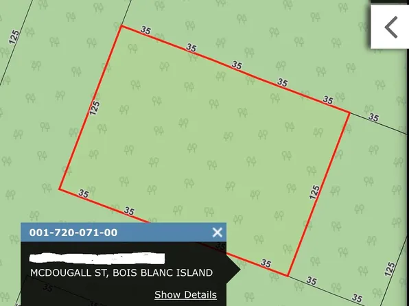 33-37B8 McDougall St, Pointe Aux Pins, MI 49775