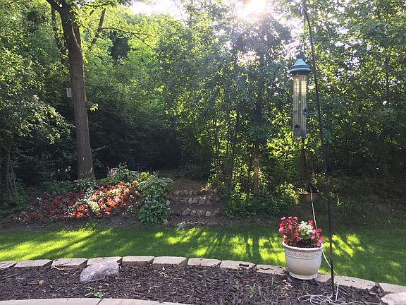 Wooded,private backyard 