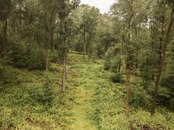 3 McCutcheon Rd, Sigel, PA 15860
