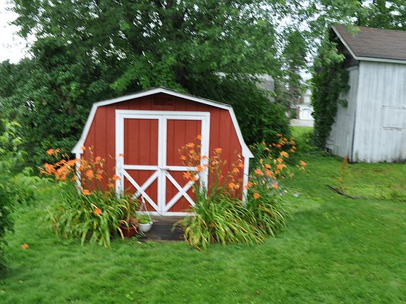 Back Yard shed