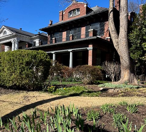 1241 from neighbor''s yard